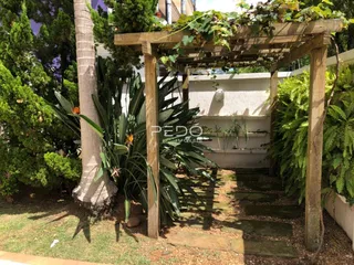 Uma área externa com pérgula de madeira e vegetação exuberante.