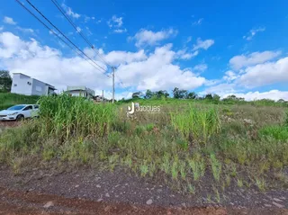 Paisagem exterior com vegetação alta na propriedade.