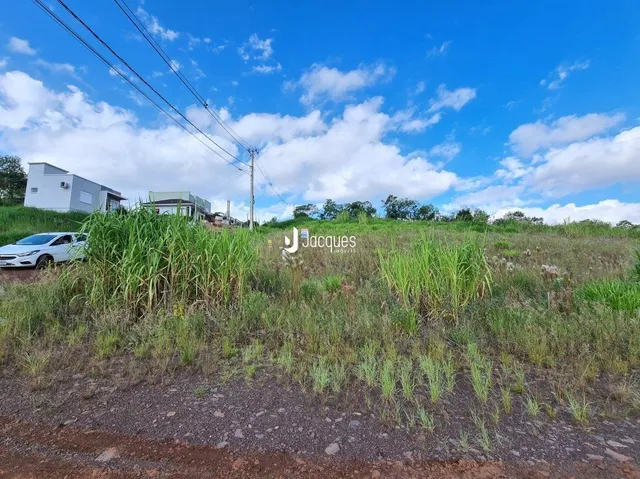 Paisagem exterior com vegetação alta na propriedade.
