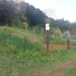 Área rural, foto 9