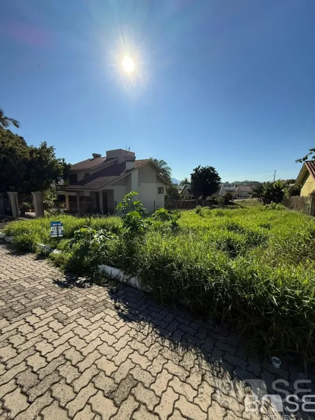 Terreno, foto 2