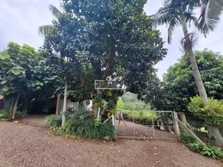 Área rural, foto 9