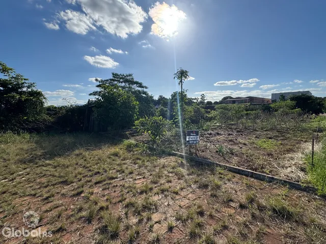 Vista aérea de um terreno aberto com vegetação seca e sinalização no meio-campo.