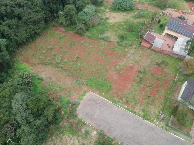 Terreno, foto 4