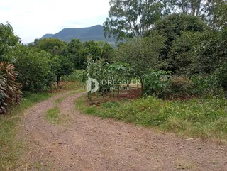 Terreno, foto 5