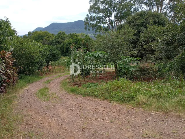 Terreno, foto 5