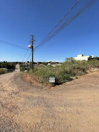 Foto de uma estrada de terra em uma área rural.