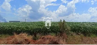 Terreno, foto 2