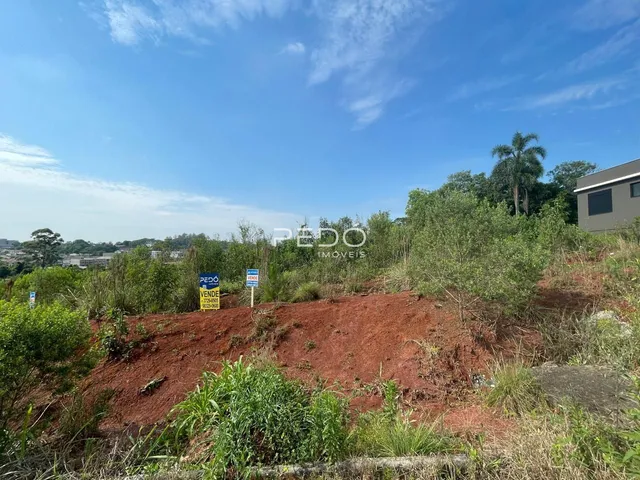 Terreno, foto 3
