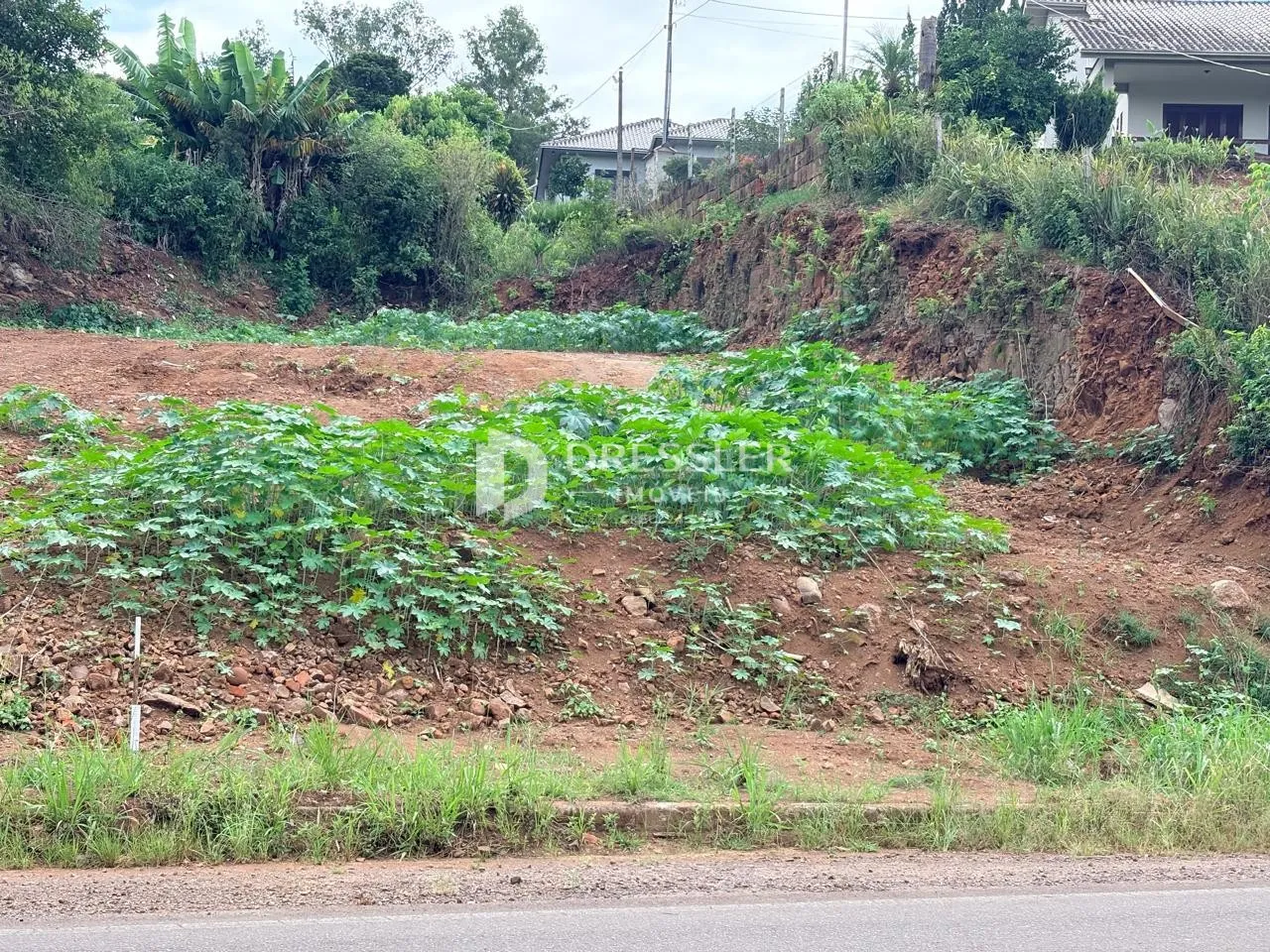 Terreno, foto 1