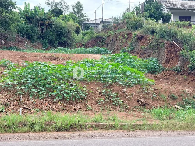 Terreno