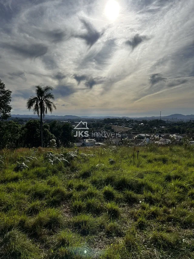 Terreno, foto 3