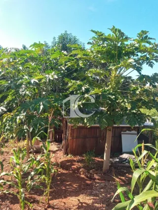 Área rural com 2 dormitórios, foto 12
