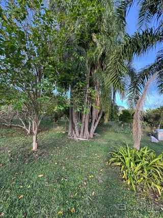 Área rural com 4 dormitórios, foto 15