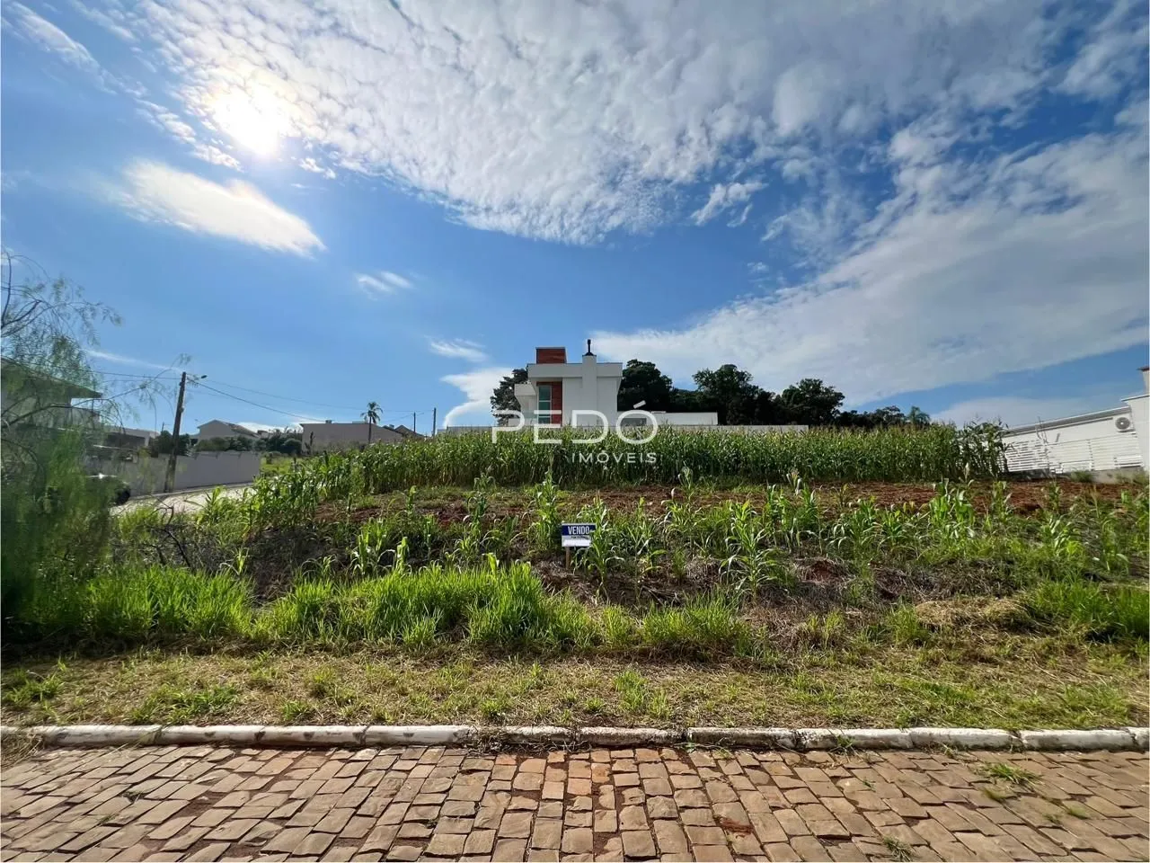 Vista externa de uma residência em Lajeado, Brasil, com vegetação no primeiro plano.