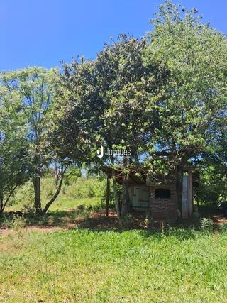 Vista externa de uma propriedade com vegetação densa e gramado.