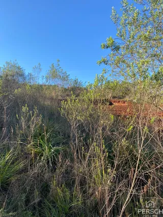 Terreno, foto 2