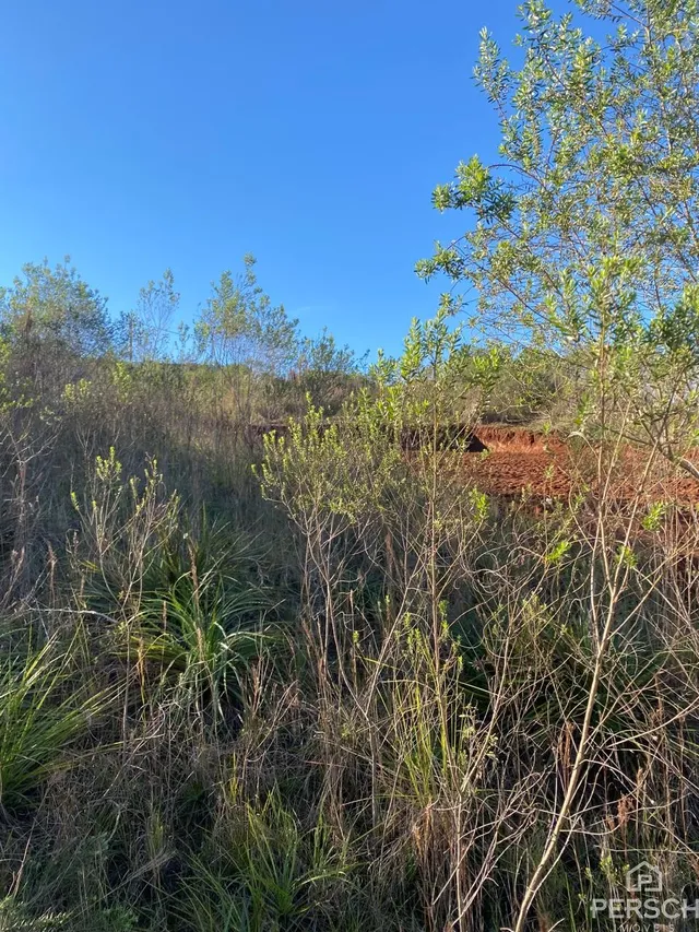 Terreno, foto 2