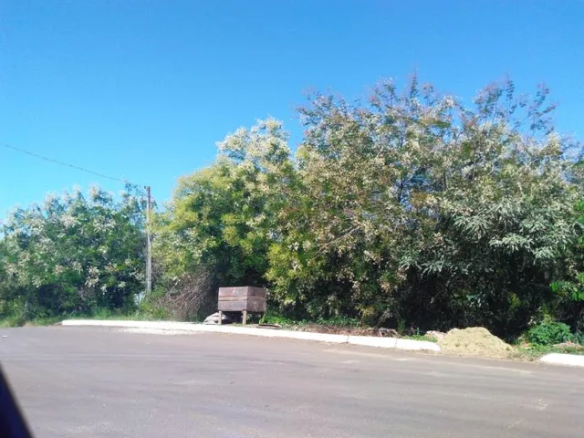 Área rural, foto 2