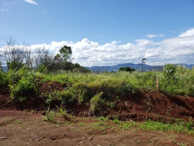 Terreno