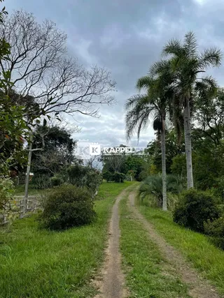 Uma trilha de terra atravessa uma área gramada com árvores.
