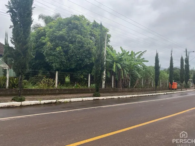 Vista externa de uma rua com vegetação densa e cerca em Lajeado, Brasil.