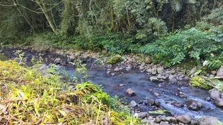 Área rural, foto 10