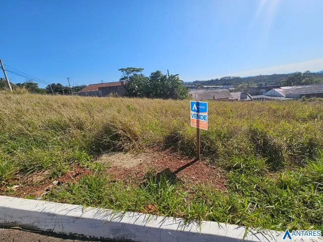 Terreno, foto 5