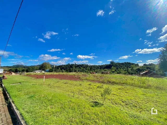Campo gramado com vegetação densa ao fundo sob um céu azul.