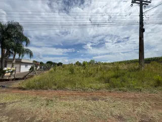 Vista externa de uma propriedade com grama alta e um poste de luz sob um céu nublado.