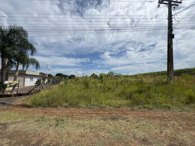 Vista externa de uma propriedade com grama alta e um poste de luz sob um céu nublado.