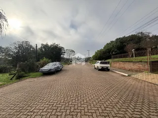 Vista da rua pavimentada em Lajeado, Brasil, com vegetação ao redor.