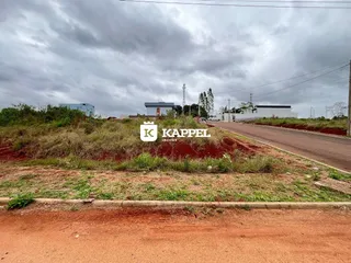 Vista externa de uma estrada de terra com vegetação rasteira em uma área residencial.