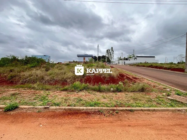 Vista externa de uma estrada de terra com vegetação rasteira em uma área residencial.