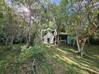 Área rural com 2 dormitórios, foto 19