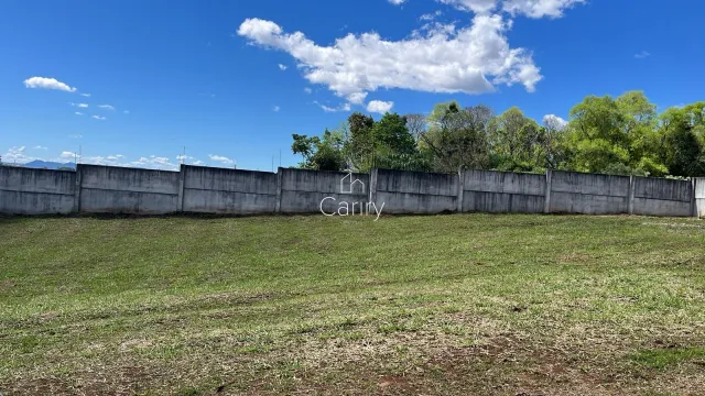 Terreno, foto 4