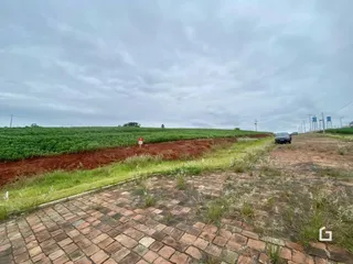 Terreno, foto 1