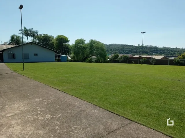 Vista externa de um gramado e área pavimentada em uma propriedade.
