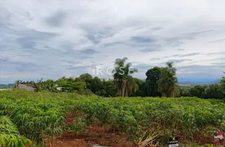 Terreno, foto 1