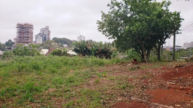 Vista externa de um terreno com vegetação rasteira e solo exposto.