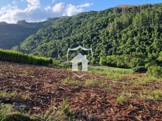 Área rural com 4 dormitórios, foto 14