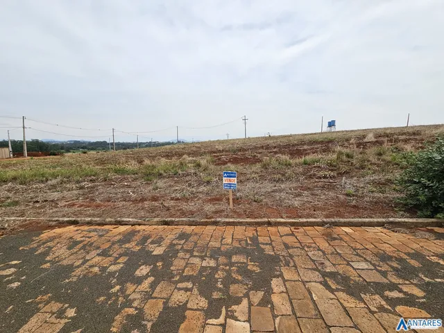 Terreno, foto 2