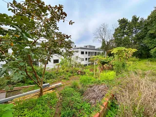 Terreno, foto 3