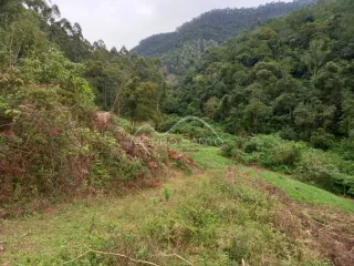 Área rural, foto 7