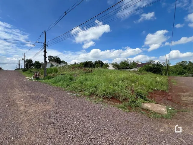Paisagem de uma estrada de terra com vegetação alta sob um céu azul.