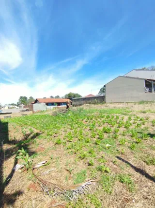 Terreno, foto 3