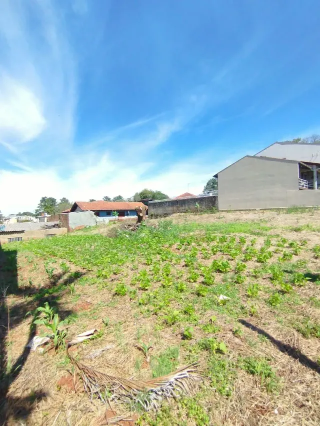 Terreno, foto 3