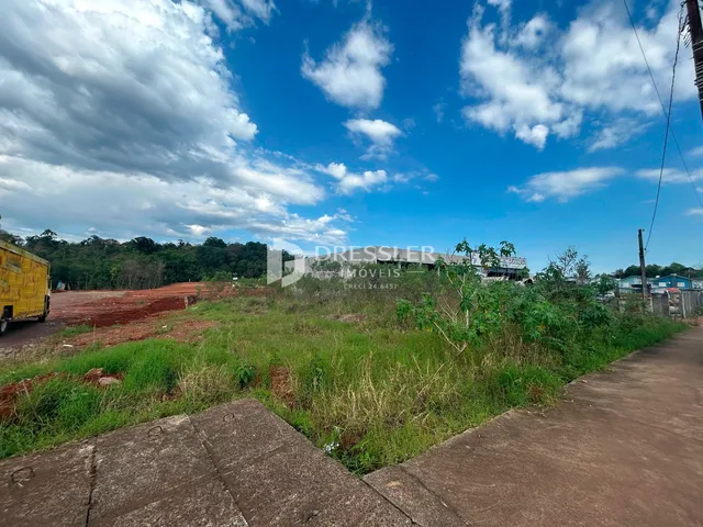 Vista da paisagem de uma propriedade com vegetação e terra.