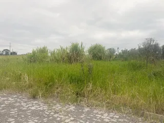 Terreno, foto 3