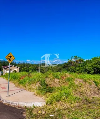Terreno, foto 8